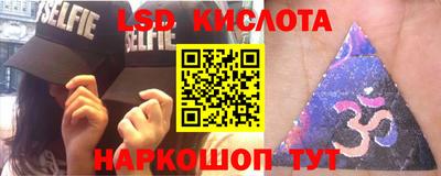 крисы Камышлов