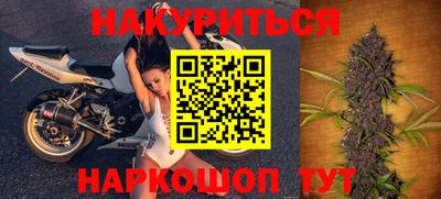крисы Камышлов