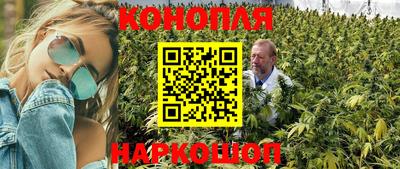 шишки Канаш
