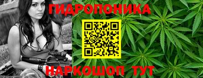 шишки Канаш