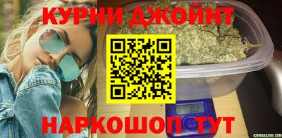 крисы Камышлов