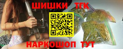 крисы Камышлов