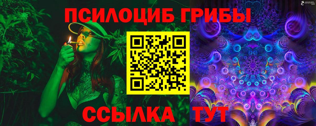 Куйбышев  Псилоцибиновые грибы мицелий  даркнет сайт  Вход с VPN 
